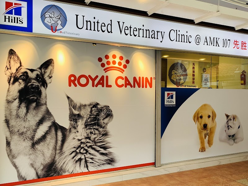 Westside Emergency Vet in Ang Mo Kio