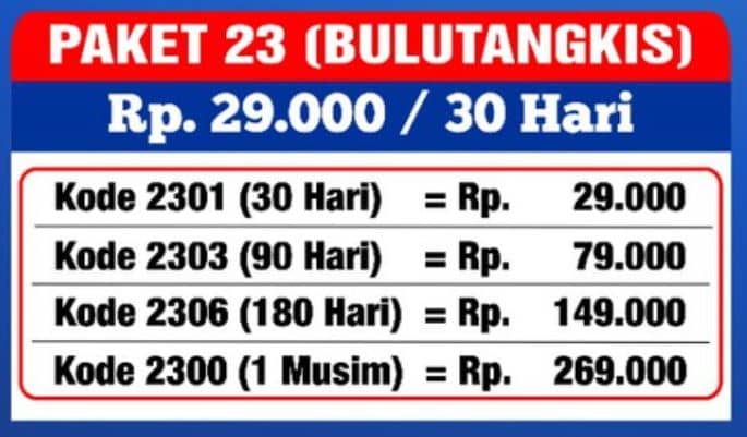 Bulutangkis Bulutangkis