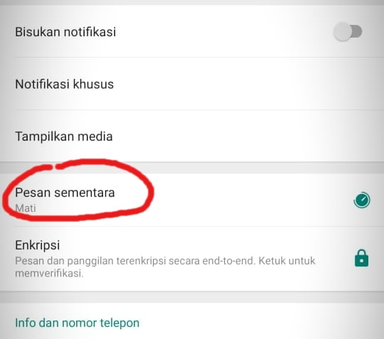 Cara Mengaktifkan Pesan Sementara di Whatsapp