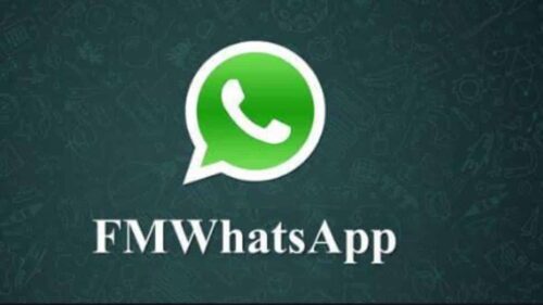 Review-Singkat-FmWhatsApp-Pengertian-Perbedaan-dengan-WhatsApp-Messenger-Cara-Unduh-Aplikasi
