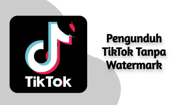 Pengunduh TikTok Tanpa Watermark