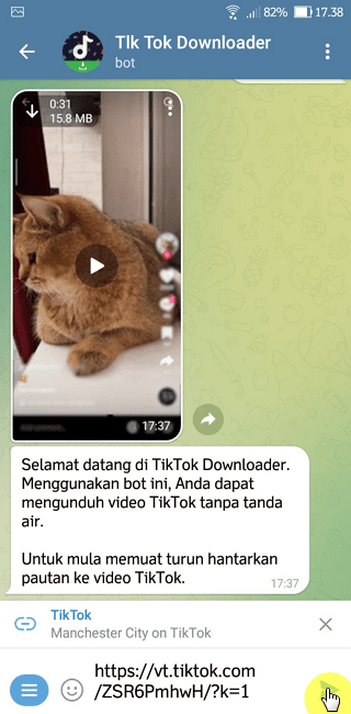 Cara Download Video TikTok Tanpa Watermark di Telegram 8 Screenshot 20220805 173814 Cara Download Video TikTok Tanpa Watermark di Telegram 8 Screenshot 20220805 173814