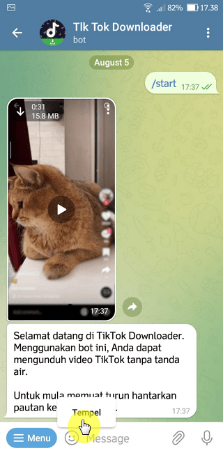 Cara Download Video TikTok Tanpa Watermark di Telegram 7 Screenshot 20220805 173806 Cara Download Video TikTok Tanpa Watermark di Telegram 7 Screenshot 20220805 173806