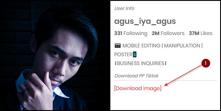 Cara Download Foto Profile Tiktok Kualitas Hd
