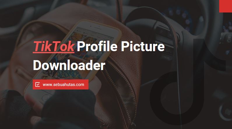 Cara Menggunakan Tiktok Profile Picture Downloader Untuk Simpan Pp Tiktok