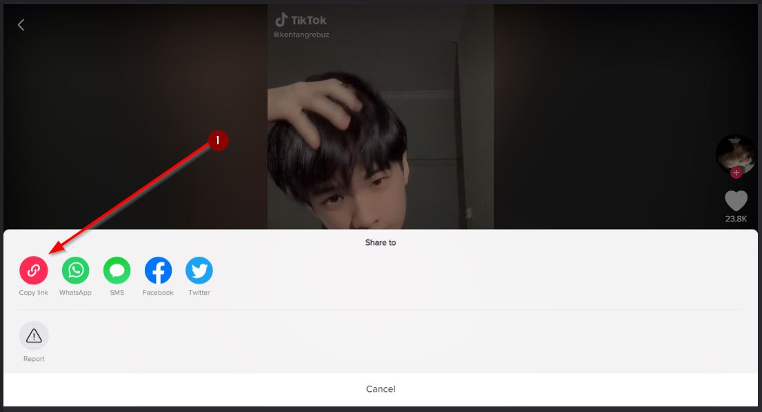 Salin Link Video Tiktok Dari Tombol Share